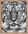 Poster Master Vintage Tiger Face Print by PosterMaster