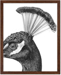 Poster Master Vintage Peacock Poster by PosterMaster
