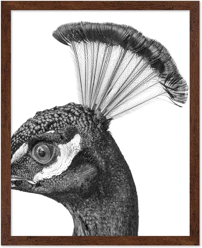 Poster Master Vintage Peacock Poster by PosterMaster