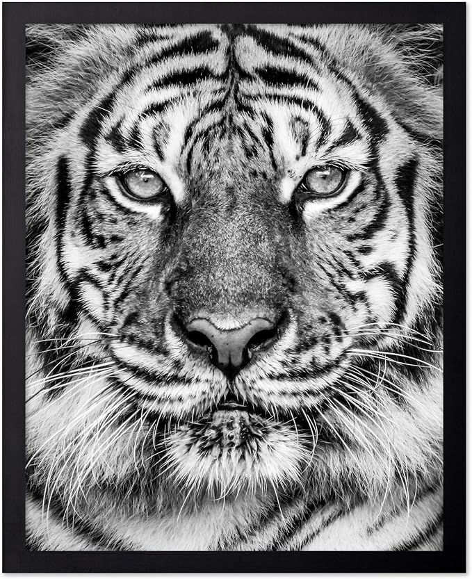 Poster Master Vintage Tiger Face Print by PosterMaster