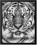 Poster Master Vintage Tiger Face Print by PosterMaster
