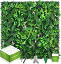 fanado Artificial Grass Wall Panels 20"x20", Hedge Green Wall Decor Backdrop by Unknown
