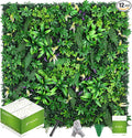 fanado Artificial Grass Wall Panels 20"x20", Hedge Green Wall Decor Backdrop by Unknown