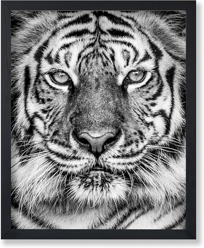 Poster Master Vintage Tiger Face Print by PosterMaster