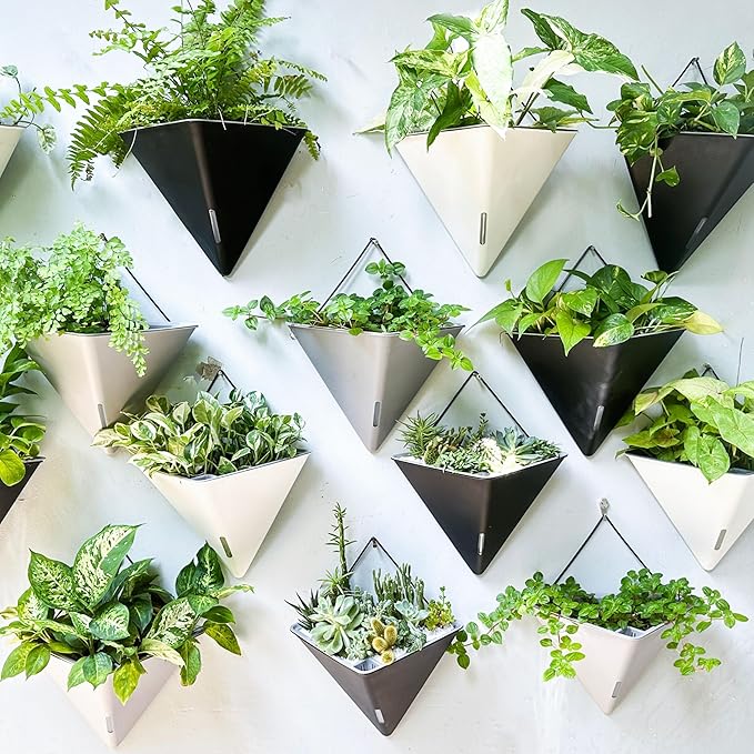 LaLaGreen Wall Planters for Indoor Plants - Image 9