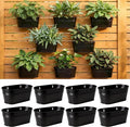 LaLaGreen Wall Planter Black Oval Metal Hanging Decor Plant Holder Indoor Wall by L%C3%A1L%C3%A1Green