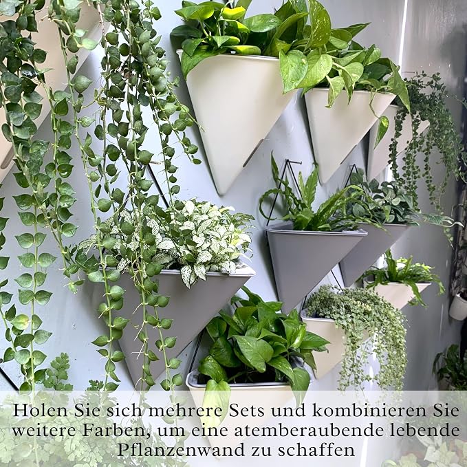 LaLaGreen Wall Planters for Indoor Plants - Image 8