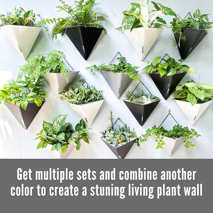 LaLaGreen Wall Planters for Indoor Plants - Image 7