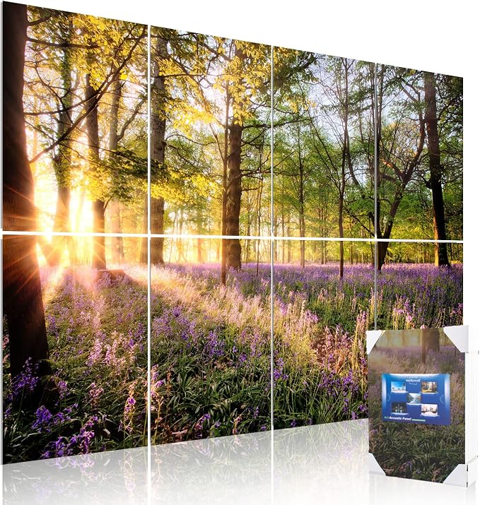 Mollywell Art Acoustic Panels, Sound Proofing, Wall Decoration, Suitable by Mollywell