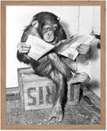 Poster Master Vintage Photograph Poster by PosterMaster