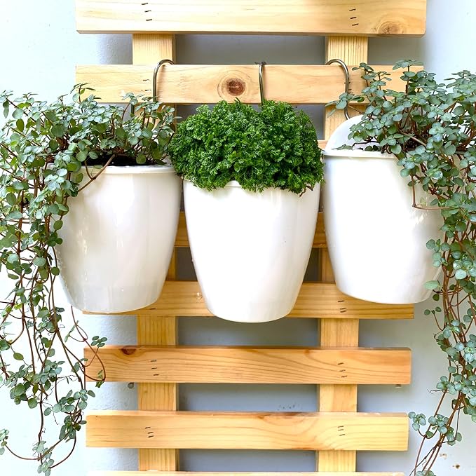 LáLáGreen Wall Planters for Indoor Plants - Image 7