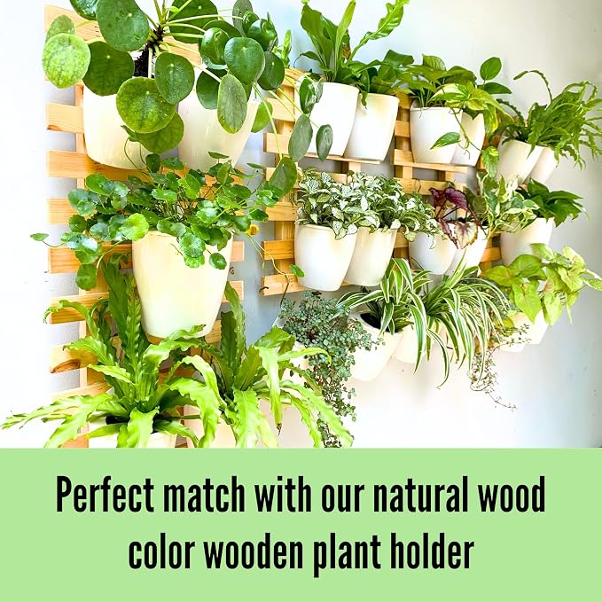LaLaGreen Wall Mounted Planters - Image 4