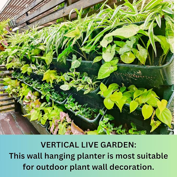 Maxona Vertical Wall Planter for Indoor Plant-Walls Mounted Pot - Image 9