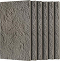 3D Faux Stone Wall Panels, Lightweight & Waterproof Accent Marble Stone Skin by Gahowlen