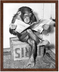 Poster Master Vintage Photograph Poster by PosterMaster