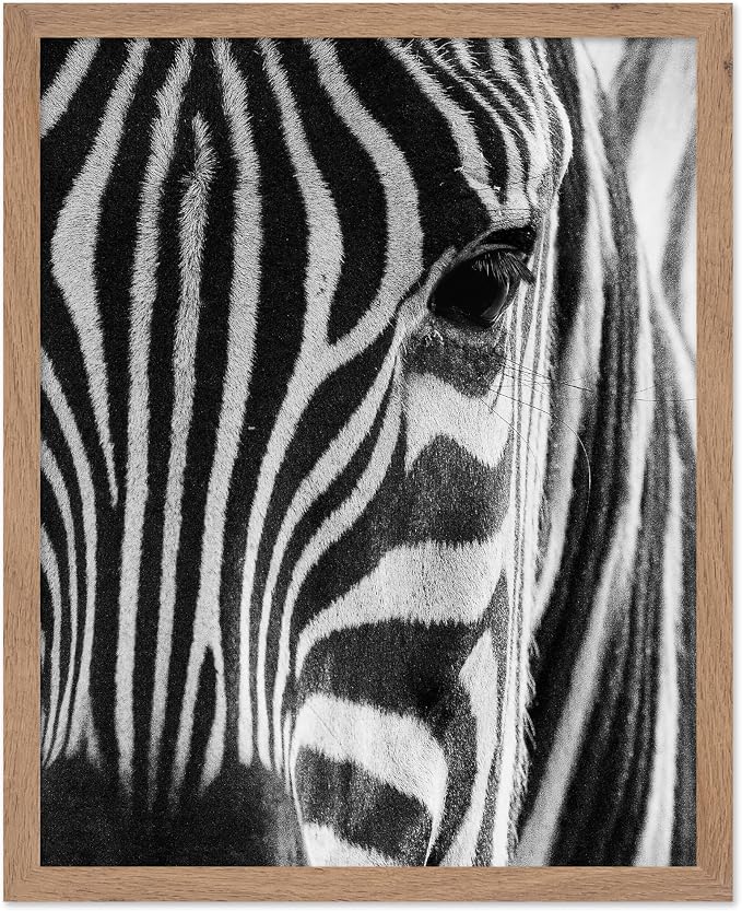 Poster Master Photograph Poster by PosterMaster