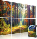 Mollywell Art Acoustic Panels, Sound Proofing, Wall Decoration, Suitable by Mollywell
