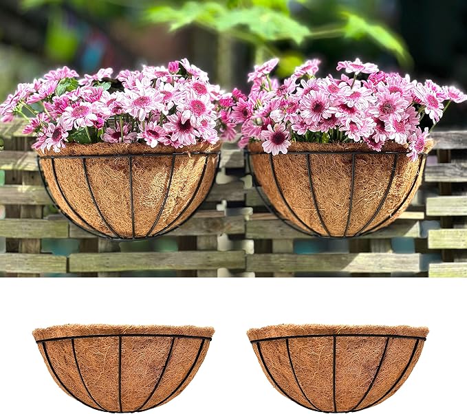 LaLaGreen Wall Hanging Planters, 2 Pack, 12 Inch Wall Mounted Flower Baskets by L%C3%A1L%C3%A1Green