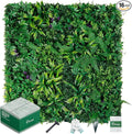 Grooy Artificial Boxwood Panels, Grass Wall Panels 20"x20", Privacy Hedge Fence by FEELTHENEWWORLD