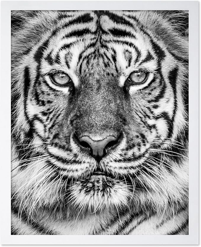 Poster Master Vintage Tiger Face Print by PosterMaster