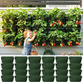 LaLaGreen Vertical Garden Planter – 24 Pack 13 Inch Dark Green Hanging Pots by L%C3%A1L%C3%A1Green
