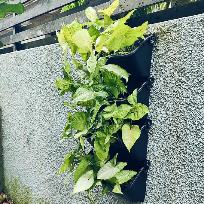 Maxona Vertical Wall Planter for Indoor Plant-Walls Mounted Pot - Image 5