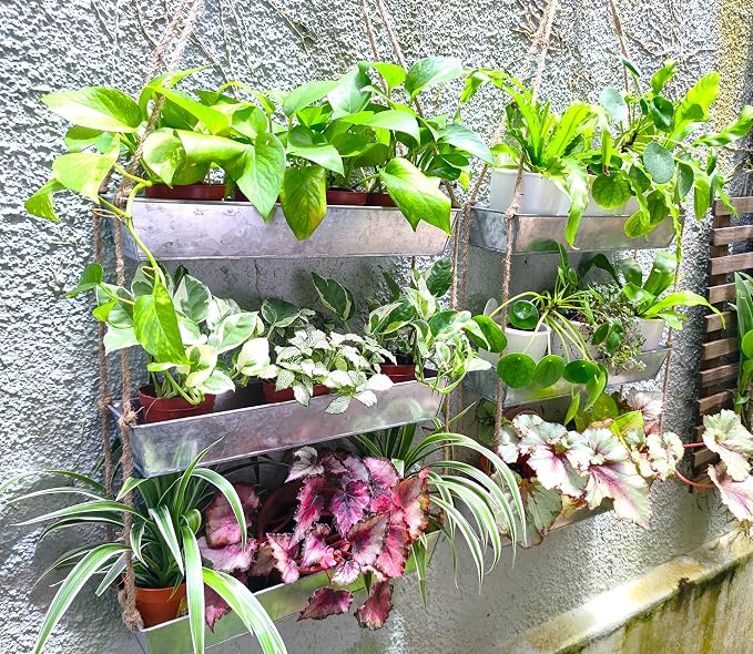 LaLaGreen Wall Hanging Planter - Image 5