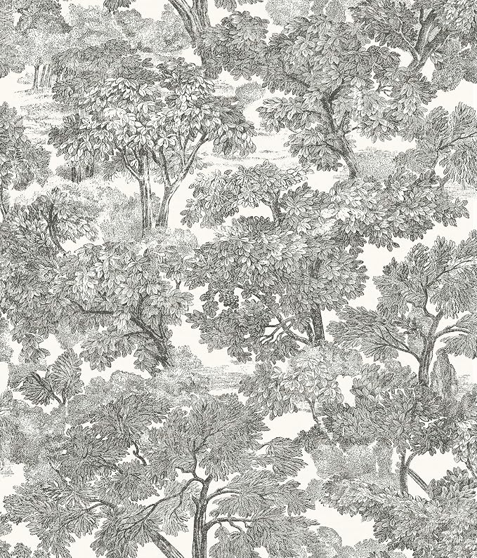 Chesapeake Black Spinney Toile Wallpaper, Strippable, 20.5 in x 33 ft by Chesapeake