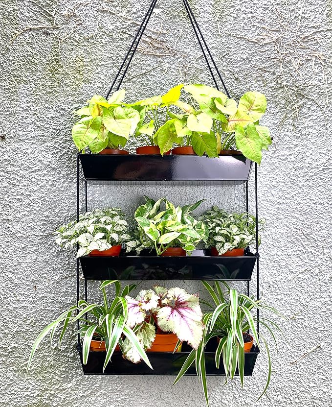 LaLaGreen 16 Inch Wall Mounted Tiered Planter - Image 8